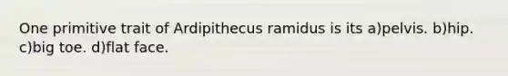 One primitive trait of Ardipithecus ramidus is its a)pelvis. b)hip. c)big toe. d)flat face.