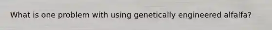 What is one problem with using genetically engineered alfalfa?