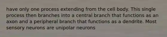 have only one process extending from the cell body. This single process then branches into a central branch that functions as an axon and a peripheral branch that functions as a dendrite. Most sensory neurons are unipolar neurons