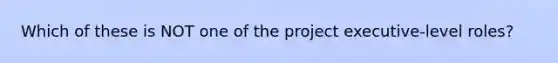 Which of these is NOT one of the project executive-level roles?