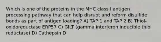 Which is one of the proteins in the MHC class I antigen processing pathway that can help disrupt and reform disulfide bonds as part of antigen loading? A) TAP 1 and TAP 2 B) Thiol-oxidoreductase ERP57 C) GILT (gamma interferon inducible thiol reductase) D) Cathepsin D