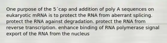 One purpose of the 5´cap and addition of poly A sequences on eukaryotic mRNA is to protect the RNA from aberrant splicing. protect the RNA against degradation. protect the RNA from <a href='https://www.questionai.com/knowledge/kNiXy9k6SK-reverse-transcription' class='anchor-knowledge'>reverse transcription</a>. enhance binding of RNA polymerase signal export of the RNA from the nucleus