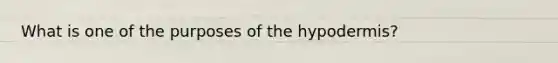 What is one of the purposes of the hypodermis?