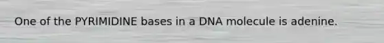 One of the PYRIMIDINE bases in a DNA molecule is adenine.