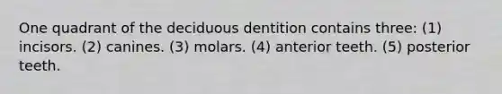 One quadrant of the deciduous dentition contains three: (1) incisors. (2) canines. (3) molars. (4) anterior teeth. (5) posterior teeth.