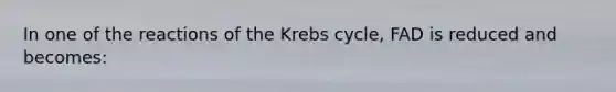 In one of the reactions of the Krebs cycle, FAD is reduced and becomes: