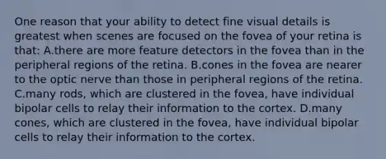 One reason that your ability to detect fine visual details is greatest when scenes are focused on the fovea of your retina is that: A.there are more feature detectors in the fovea than in the peripheral regions of the retina. B.cones in the fovea are nearer to the optic nerve than those in peripheral regions of the retina. C.many rods, which are clustered in the fovea, have individual bipolar cells to relay their information to the cortex. D.many cones, which are clustered in the fovea, have individual bipolar cells to relay their information to the cortex.