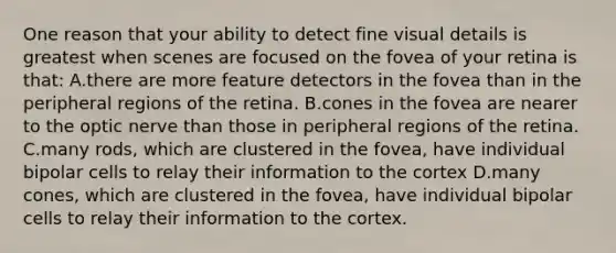 One reason that your ability to detect fine visual details is greatest when scenes are focused on the fovea of your retina is that: A.there are more feature detectors in the fovea than in the peripheral regions of the retina. B.cones in the fovea are nearer to the optic nerve than those in peripheral regions of the retina. C.many rods, which are clustered in the fovea, have individual bipolar cells to relay their information to the cortex D.many cones, which are clustered in the fovea, have individual bipolar cells to relay their information to the cortex.