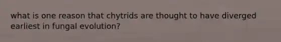 what is one reason that chytrids are thought to have diverged earliest in fungal evolution?