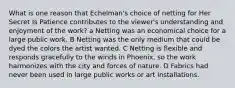 What is one reason that Echelman's choice of netting for Her Secret Is Patience contributes to the viewer's understanding and enjoyment of the work? a Netting was an economical choice for a large public work. B Netting was the only medium that could be dyed the colors the artist wanted. C Netting is flexible and responds gracefully to the winds in Phoenix, so the work harmonizes with the city and forces of nature. D Fabrics had never been used in large public works or art installations.