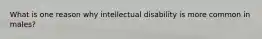 What is one reason why intellectual disability is more common in males?