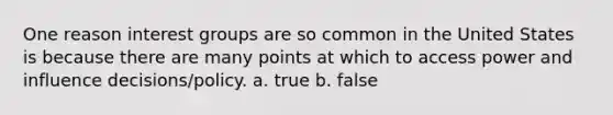 One reason interest groups are so common in the United States is because there are many points at which to access power and influence decisions/policy. a. true b. false