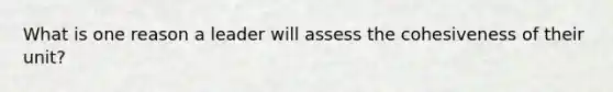 What is one reason a leader will assess the cohesiveness of their unit?