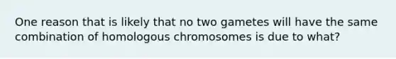 One reason that is likely that no two gametes will have the same combination of homologous chromosomes is due to what?