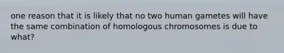 one reason that it is likely that no two human gametes will have the same combination of homologous chromosomes is due to what?