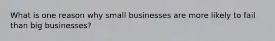 What is one reason why small businesses are more likely to fail than big businesses?