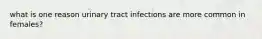 what is one reason urinary tract infections are more common in females?