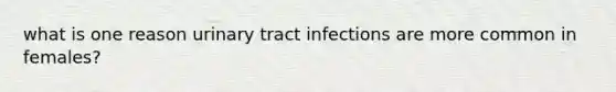 what is one reason <a href='https://www.questionai.com/knowledge/kN6ArhoJHF-urinary-tract-infection' class='anchor-knowledge'>urinary tract infection</a>s are more common in females?