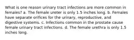 What is one reason urinary tract infections are more common in females? a. The female ureter is only 1.5 inches long. b. Females have separate orifices for the urinary, reproductive, and digestive systems. c. Infections common in the prostate cause female urinary tract infections. d. The female urethra is only 1.5 inches long.