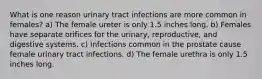 What is one reason urinary tract infections are more common in females? a) The female ureter is only 1.5 inches long. b) Females have separate orifices for the urinary, reproductive, and digestive systems. c) Infections common in the prostate cause female urinary tract infections. d) The female urethra is only 1.5 inches long.