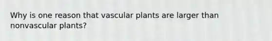 Why is one reason that vascular plants are larger than nonvascular plants?