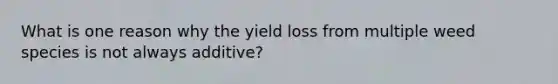 What is one reason why the yield loss from multiple weed species is not always additive?