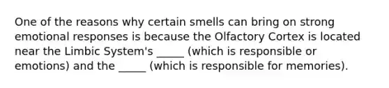 One of the reasons why certain smells can bring on strong emotional responses is because the Olfactory Cortex is located near the Limbic System's _____ (which is responsible or emotions) and the _____ (which is responsible for memories).