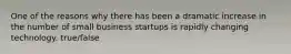 One of the reasons why there has been a dramatic increase in the number of small business startups is rapidly changing technology. true/false