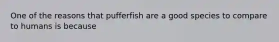 One of the reasons that pufferfish are a good species to compare to humans is because