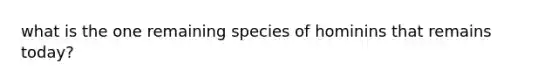 what is the one remaining species of hominins that remains today?