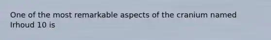 One of the most remarkable aspects of the cranium named Irhoud 10 is