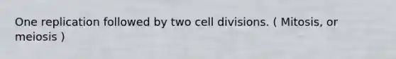 One replication followed by two <a href='https://www.questionai.com/knowledge/kjHVAH8Me4-cell-division' class='anchor-knowledge'>cell division</a>s. ( Mitosis, or meiosis )