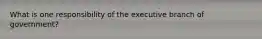 What is one responsibility of the executive branch of government?