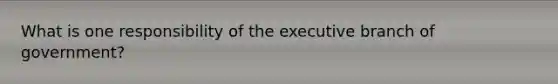 What is one responsibility of the executive branch of government?