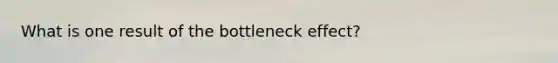 What is one result of the bottleneck effect?