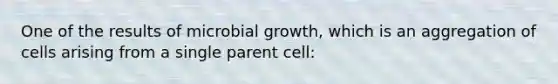 One of the results of microbial growth, which is an aggregation of cells arising from a single parent cell: