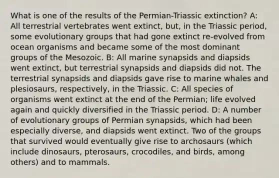 What is one of the results of the Permian-Triassic extinction? A: All terrestrial vertebrates went extinct, but, in the Triassic period, some evolutionary groups that had gone extinct re-evolved from ocean organisms and became some of the most dominant groups of the Mesozoic. B: All marine synapsids and diapsids went extinct, but terrestrial synapsids and diapsids did not. The terrestrial synapsids and diapsids gave rise to marine whales and plesiosaurs, respectively, in the Triassic. C: All species of organisms went extinct at the end of the Permian; life evolved again and quickly diversified in the Triassic period. D: A number of evolutionary groups of Permian synapsids, which had been especially diverse, and diapsids went extinct. Two of the groups that survived would eventually give rise to archosaurs (which include dinosaurs, pterosaurs, crocodiles, and birds, among others) and to mammals.