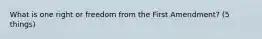 What is one right or freedom from the First Amendment? (5 things)