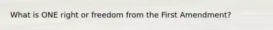 What is ONE right or freedom from the First Amendment?
