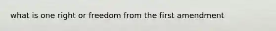 what is one right or freedom from the first amendment