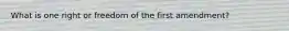 What is one right or freedom of the first amendment?