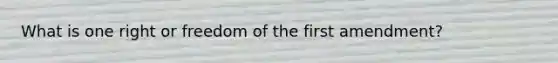 What is one right or freedom of the first amendment?