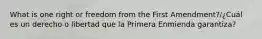 What is one right or freedom from the First Amendment?/¿Cuál es un derecho o libertad que la Primera Enmienda garantiza?