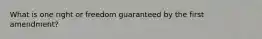 What is one right or freedom guaranteed by the first amendment?