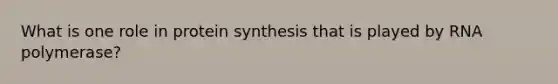 What is one role in protein synthesis that is played by RNA polymerase?