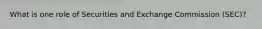 What is one role of Securities and Exchange Commission (SEC)?