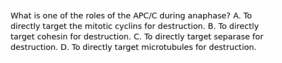 What is one of the roles of the APC/C during anaphase? A. To directly target the mitotic cyclins for destruction. B. To directly target cohesin for destruction. C. To directly target separase for destruction. D. To directly target microtubules for destruction.