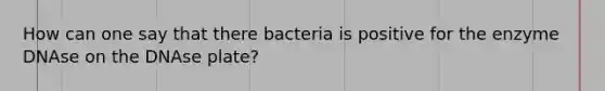 How can one say that there bacteria is positive for the enzyme DNAse on the DNAse plate?