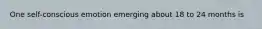 One self-conscious emotion emerging about 18 to 24 months is