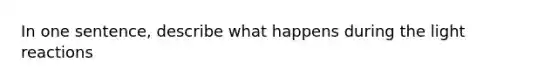 In one sentence, describe what happens during the light reactions